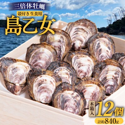 殻付き牡蠣 生食用 三倍体牡蠣 島乙女 約840g 12個入 [20565985]