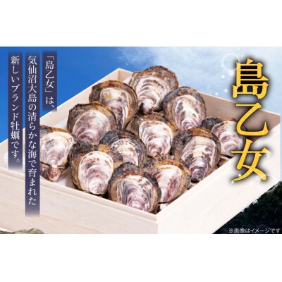 殻付き牡蠣 生食用 三倍体牡蠣 島乙女 約840g 12個入 [20565985]