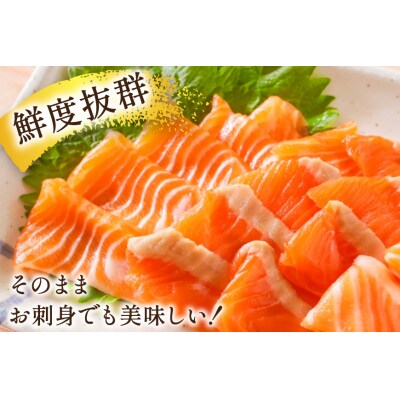 訳あり サーモン 切り落とし おさしみ用 計4kg 125g ×32p [20565968]