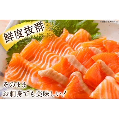 訳あり 国産 サーモン 切り落とし おさしみ用 4kg 125gx32p [20565976]