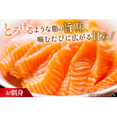 訳あり サーモン 刺身 トロ ハラス フィーレ 総重量4kg [20565969]