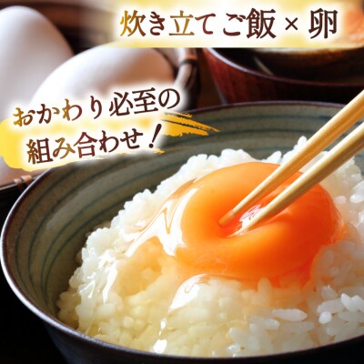 3回 定期便 米 宮城県産 とまたんのひとめぼれ 10kg 総計30kg [20566086]