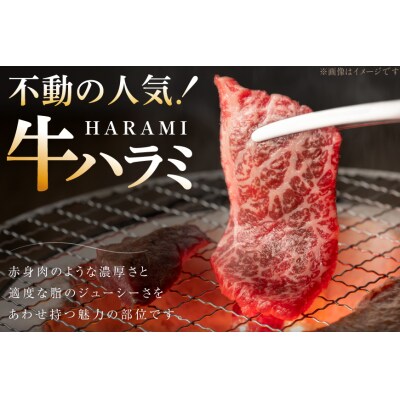牛肉 味付き 牛ハラミ 300g 3P 計900g [20566103]