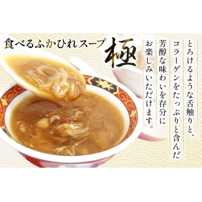 ふかひれ スープ プレミアムセット 極200g 2p 煌200g 3p 計6箱 [20566119]