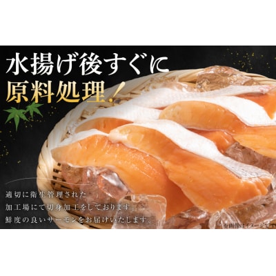 訳あり サーモン ハラス 鮭 切身 骨取り 1.5kg [足利本店 20566124]