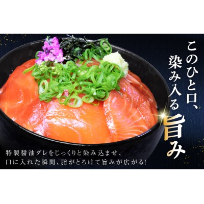 サーモン FIVE STAR ブランド サーモン漬け 10パック セット [20566149]