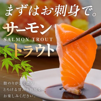 FIVE STAR 訳あり サーモン スライス 総重量 400g [20566177]
