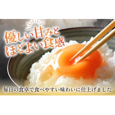 米 生活応援米 宮城県産 ひとめぼれ 10kg [菊武商店 宮城県 気仙沼市 20566111] 