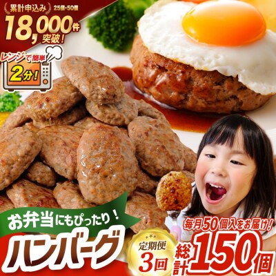 3回 定期便 レンジで簡単 ハンバーグ 60g 50個 総計 150個 9kg [20566202]