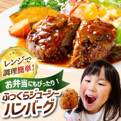 3回 定期便 レンジで簡単 ハンバーグ 60g 50個 総計 150個 9kg [20566202]