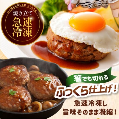 3回 定期便 レンジで簡単 ハンバーグ 60g 50個 総計 150個 9kg [20566202]