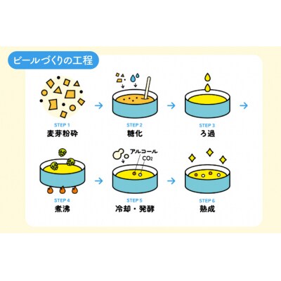 ビール Hoya Friends Beer 3液種 370ml缶 計12本 [20566096]