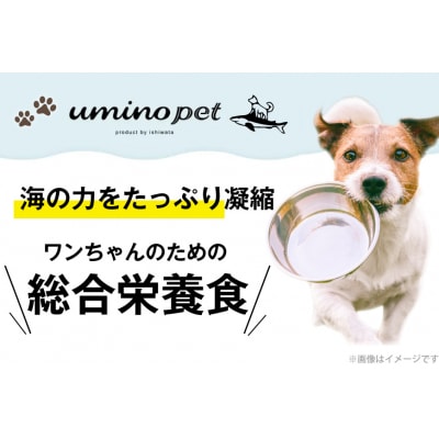 ドッグフード UMINO PET 総合栄養食 800g 2袋 [20566213] 