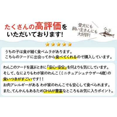 ドッグフード UMINO PET 総合栄養食 800g 2袋 [20566213] 
