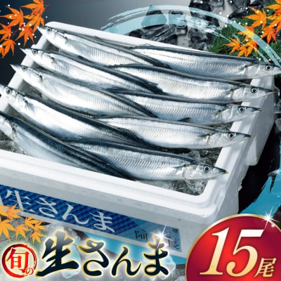 【期間限定発送】 生 さんま 15尾 [阿部長商店 宮城県 気仙沼市 20566342]