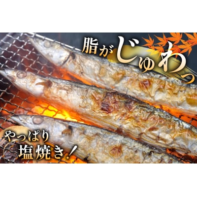 【期間限定発送】 生 さんま 15尾 [阿部長商店 宮城県 気仙沼市 20566342]
