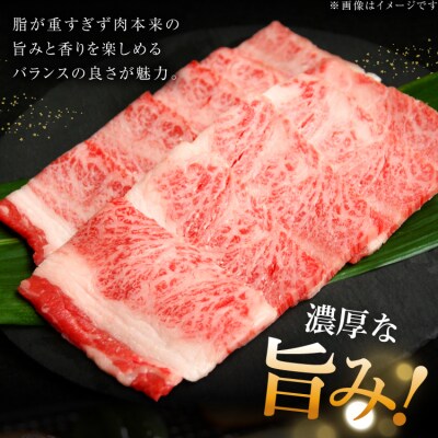 牛肉 仙台黒毛和牛 焼肉用 カルビ バラ 500g [カネダイ 宮城県 気仙沼市 20566331]