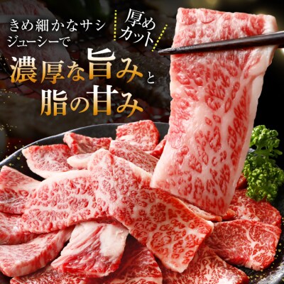 牛肉 仙台黒毛和牛 焼肉用 カルビ バラ 500g [カネダイ 宮城県 気仙沼市 20566331]