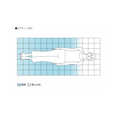 エアウィーヴ01 クイーン
