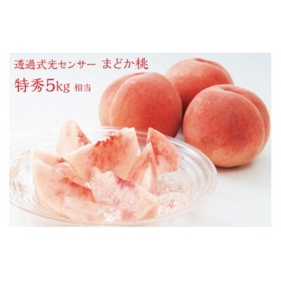 透過式光センサー まどか 桃 特秀 5kg相当(13玉～20玉)1箱※2023年夏発送