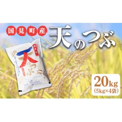 【令和6年産】米　国見町産　天のつぶ 20kg　5kg×4袋 ※九州・沖縄県・離島への配送不可
