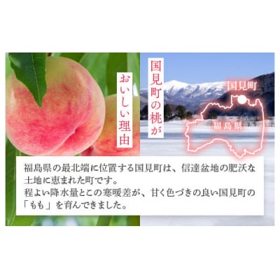 透過式光センサーまどか桃 特秀5kg相当 15玉～18玉 ふくしま 桃 福島 もも モモ