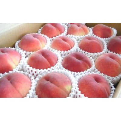 国見町産 桃 特秀 3kg箱(7～12玉) | 果物 品種 おまかせ ※2026年8月～発送