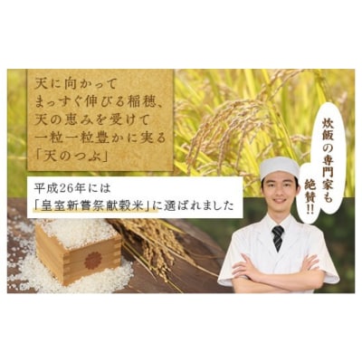 【令和8年産】米　国見町産　天のつぶ 5kg(5kg×1袋) ※2026年10月～発送