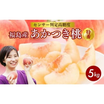 透過式光センサーあかつき桃 特秀5kg相当 15玉～18玉 ふくしま 桃 福島 もも 国見 モモ