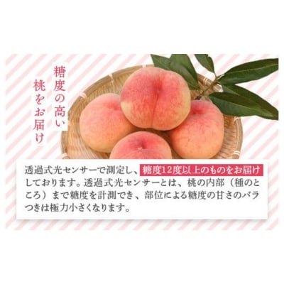 透過式光センサーまどか桃 特秀5kg相当 15玉～18玉 ふくしま 桃 福島 もも 国見 モモ