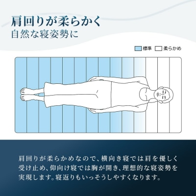 エアウィーヴ スマートZ01　特別仕様 シングル　| 【正規品】 日本製 快眠 寝具 高反発 