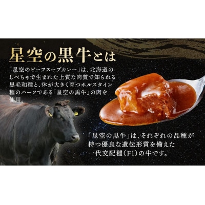 北海道 「星空の黒牛」ビーフスープカレー(300g)×5個