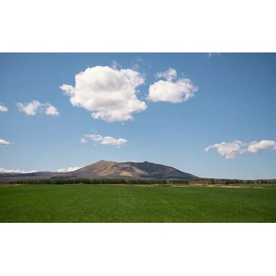 北海道標茶町 寄付のみの応援受付 1000円コース(返礼品なし 寄付のみ)