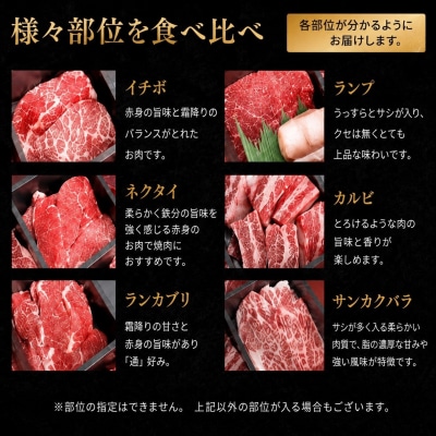 焼肉 北海道産 星空の黒牛 厳選9種 食べ比べ 約630g