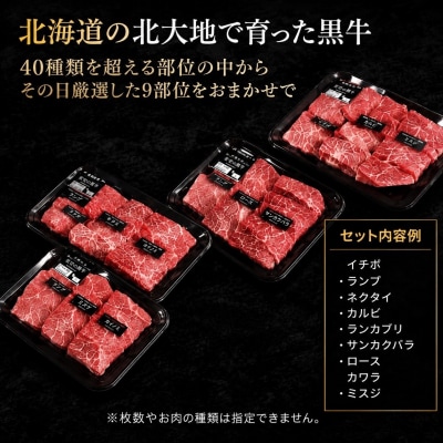 焼肉 北海道産 星空の黒牛 厳選9種 食べ比べ 約630g