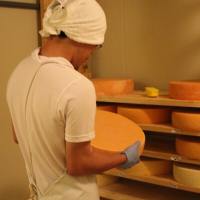 北海道産 牧場 自家製 手作り チーズ セット 長坂牧場チーズ工房