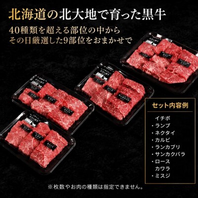 焼肉 北海道産 星空の黒牛 厳選9種 食べ比べ 約630g 星空の黒牛専用焼肉たれ2本付き