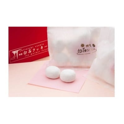 神宮白石クッキー42個入り 026