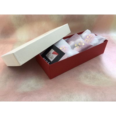 神宮白石クッキー&紅果実クッキーセット 078