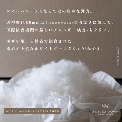 UEMURADOWN【ホワイトグース93%】ラグジュアリーホテル仕様 羽毛枕 350g　1189
