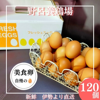 自慢の新鮮たまご【美食卵】120個 野呂養鶏場 伊勢志摩より直送　1522