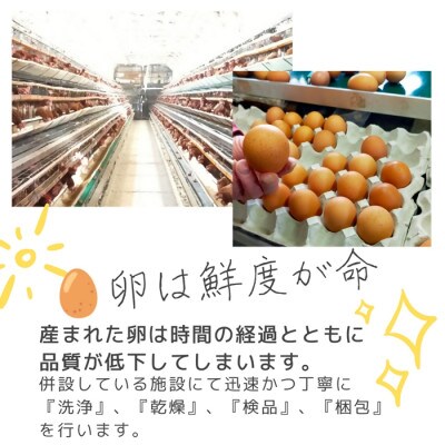 自慢の新鮮たまご【美食卵】120個 野呂養鶏場 伊勢志摩より直送　1522