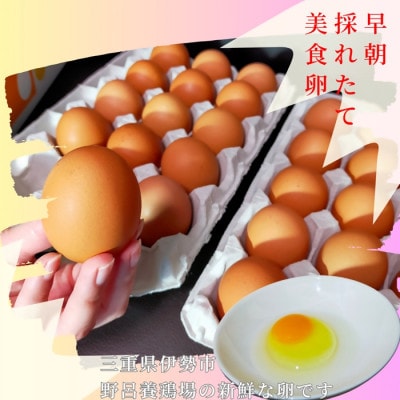 自慢の新鮮たまご【美食卵】120個 野呂養鶏場 伊勢志摩より直送　1522