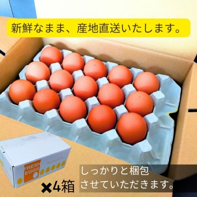 自慢の新鮮たまご【美食卵】120個 野呂養鶏場 伊勢志摩より直送　1522