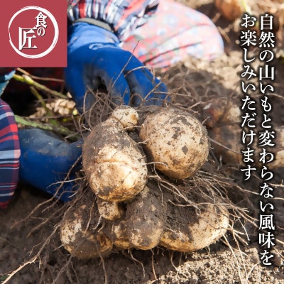 伊勢の横輪いも 1859