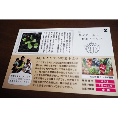 美濃白川里山からのおくりもの帖