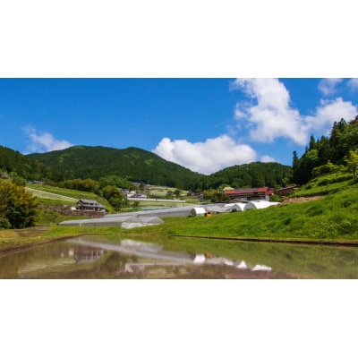 佐伯さんちのトマトジュース