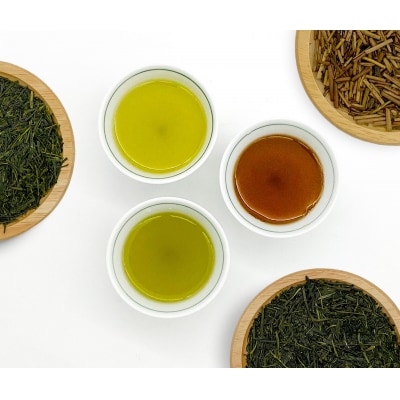 山の希少茶　美濃白川茶　味わいセット