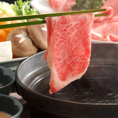 飛騨牛 しゃぶしゃぶ用　肩ロース　700g(350×2)