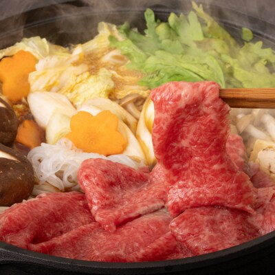 飛騨牛 すき焼き用　もも・かた肉600g(300g×2)